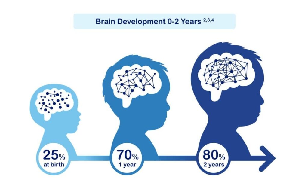 뇌성장의 과정0-2살  25%-70%-80% 