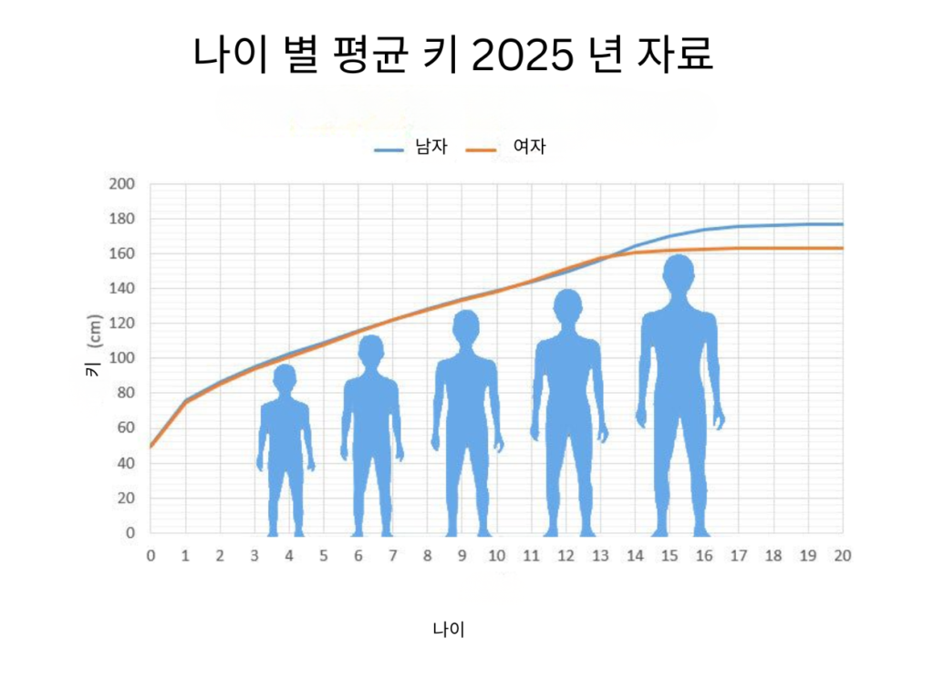 어린이 성장속도와 성장곡선으로 보는 성장의 원리